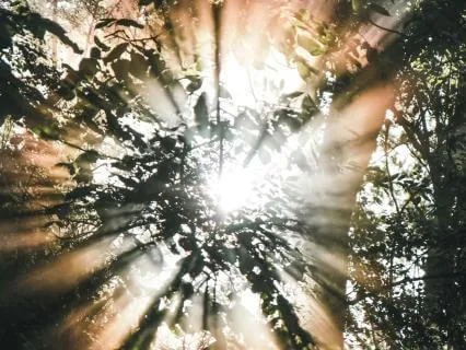 Awe & Wonder | A Sensory Meditation For Presence