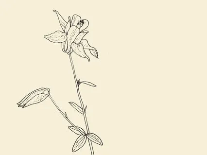 Ayka Maaee With Message From The Divine Mother