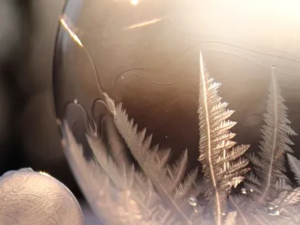 Ayurvedic Meditation For Kapha Season