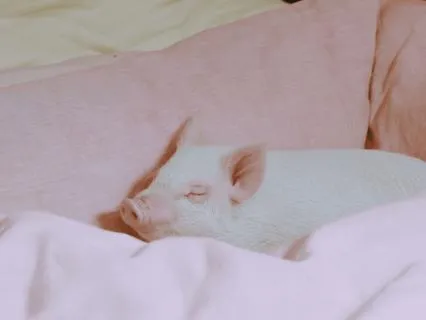 Ayurvedic Sleep Meditation | Re-Energise | Balance Kapha