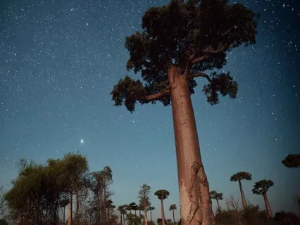 Day 13: Relax & Let Go