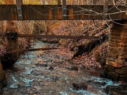 Babbling Brook For Calm & Relaxation