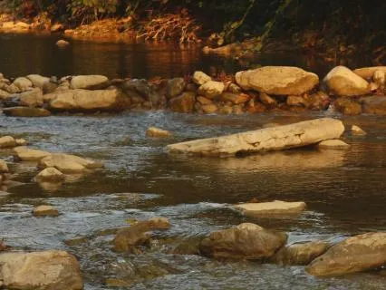 Babbling Brook For Deep Sleep