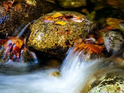 Babbling Brook Harmony