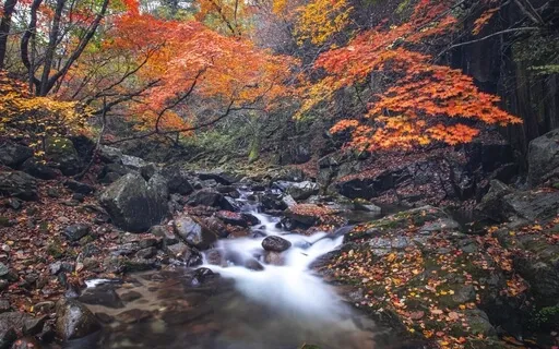 Babbling Brook | Nature Sounds Collection | Patrick Lynen