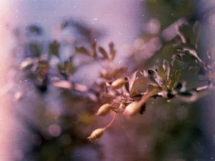 Baby Come Home | Positive Cozy Vibes | LoFi Soul Piano Beats