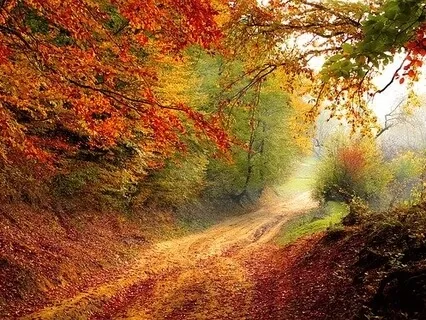 Baby I Grieve Your Lovin' (Season 1)