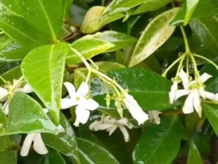 Baby Loss 3 Minute Breathing Space Meditation To Help With Grounding