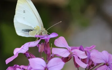 Baby Loss Mindful Movement - Finding The Joy Again