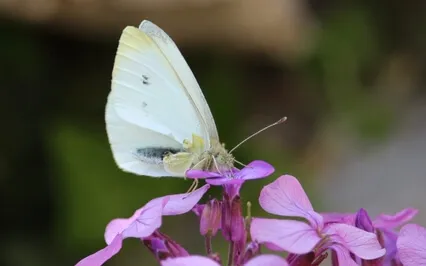 Baby Loss - Mindful Movement Meditation
