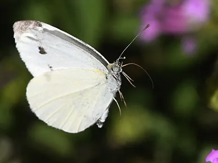 Baby Loss Releasing Guilt & Resting Relaxation