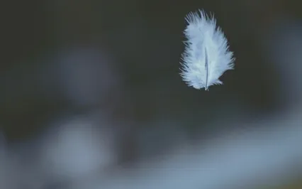 Baby Loss/Child Loss: Inner Sanctuary Connection