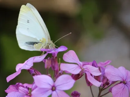 Baby Loss Teddy Bear Meditation - Aching Arms Collaboration