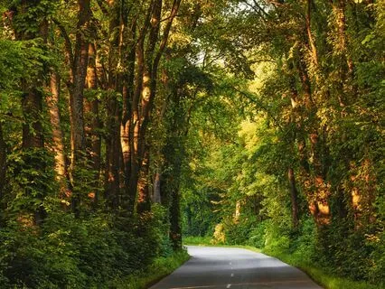 Baby Sleep Harp And Water Sound