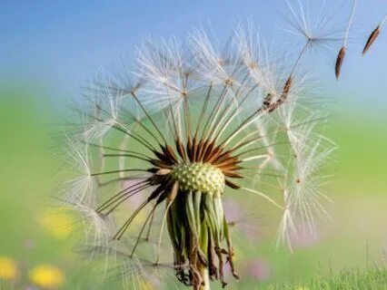 Baby Sleep Melodies With White Noise