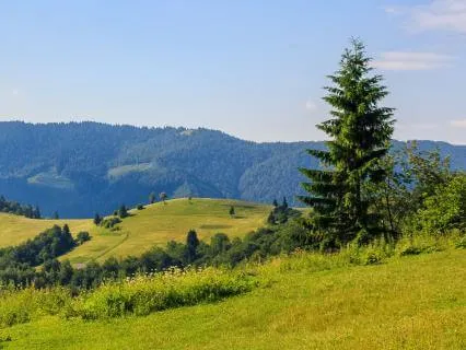 Baby Sleep Music With Gentle White Noise