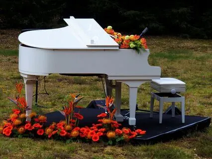 Bach's Prelude With Lightful Words To Raise Your Vibration