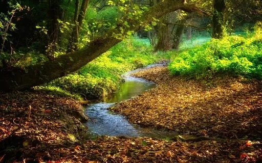 Bachlauf im Wald | Naturgeräusche XXL | 3 Stunden