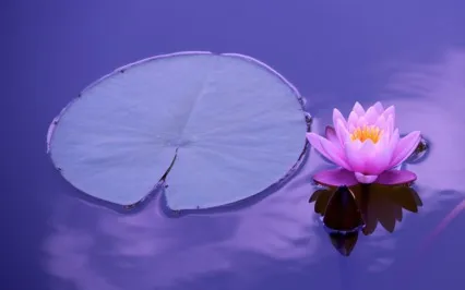 Bach's Prelude No. 1 (Piano Relaxation)