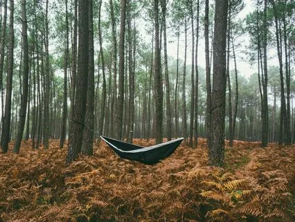 Back Body Practice For Restoration