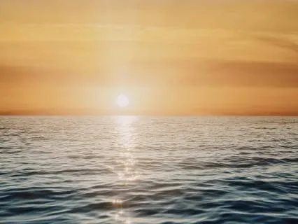 Back To Balance: A Nervous System Reset