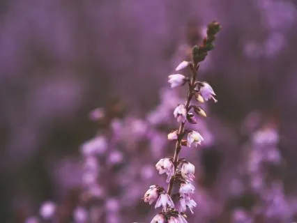 Back To Basics Meditation | Great For Beginners
