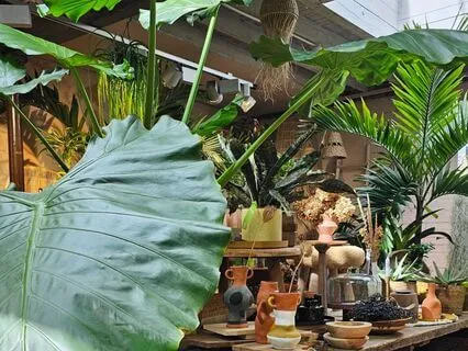 Back To Basics Meditation