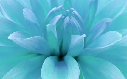 Back To Being - A Grounding Journaling Practice