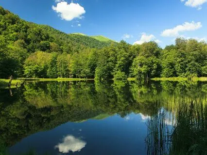 Back To Nature - Stress Relief Music (432 Hz)