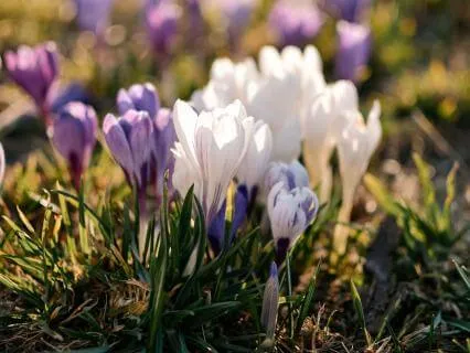 Back To Peace: Starting From Within- Feb 04