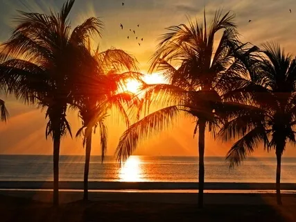 Back To School (Meditation For Teachers)