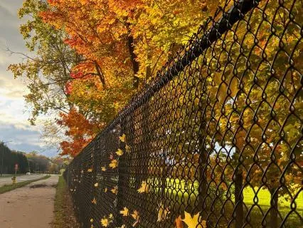 Back To School With Loving Kindness