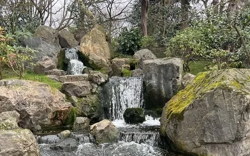 Back To Self - Energy Balance 