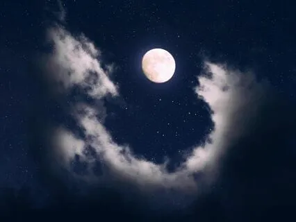 Back To Sleep Visualization