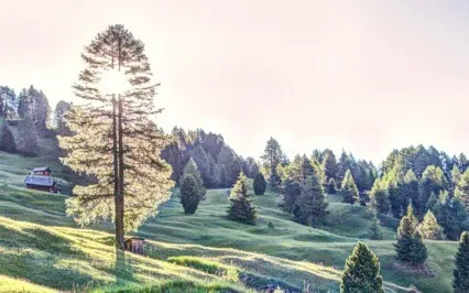 Back To The Beginning 