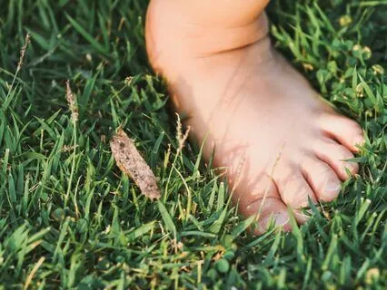 Back To the Present Through Your Senses