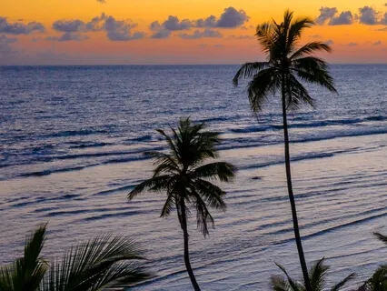 Background Music For Studying And Relaxing | Music To Relax 