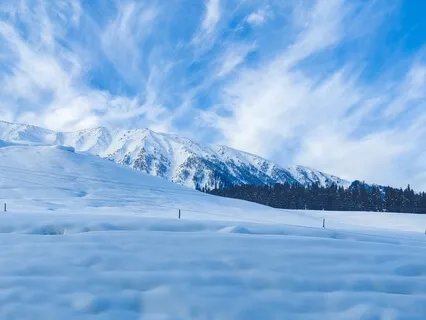 Background Music For Studying | Focus Music For Deep Focus