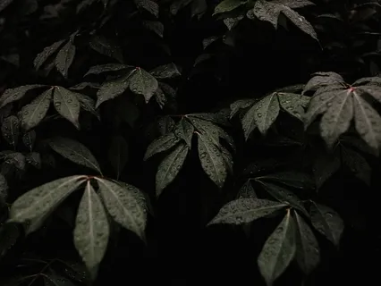 Backyard Rain (Delta Binaural, 3Hz, 90Hz Base) 