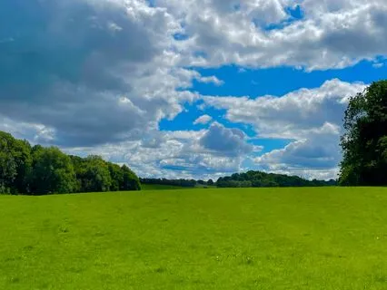 Bad Habits Affirmations