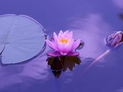 Bài Thiền Buông Thư Với Ánh Sáng Êm Dịu