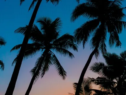 Balance & Harmony Music - Relax Mind Body