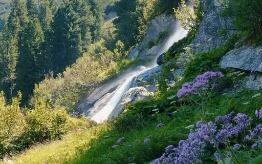 Balance Between The Physical & Spiritual