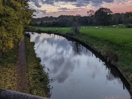 Balance, Focus & Calm With Sama Vritti - Box Breathing