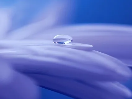 Balance Your Exhausted Voice