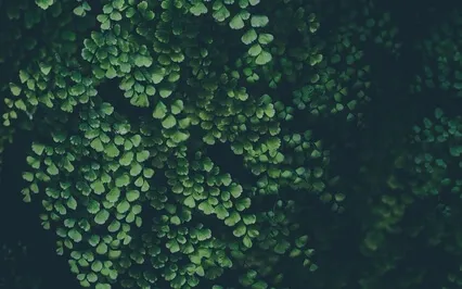 Balance: Giving And Receiving Compassion