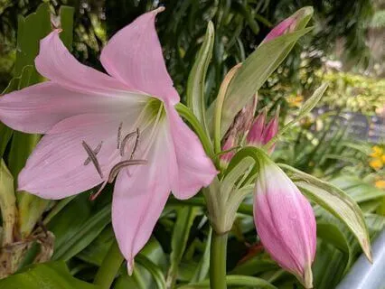 Balance | Mindful Motivation