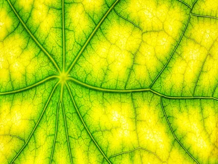 Balance Practice Breathing 2 - Alternate Nostril Breathing