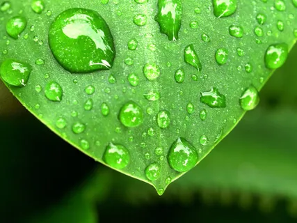 Balance, Relax, And Renew