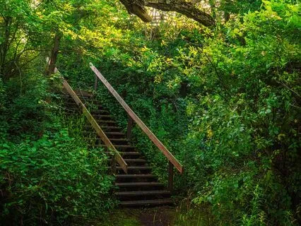 Balance The Chakras Meditation